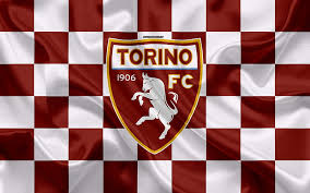 Modern Era and Challenges Facing Torino FC