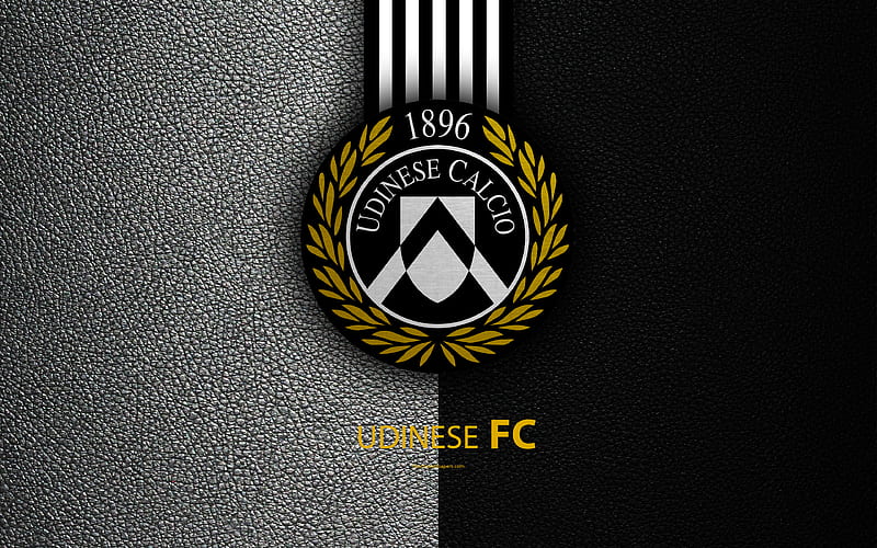 Player Culture and Fan Engagement Udinese FC